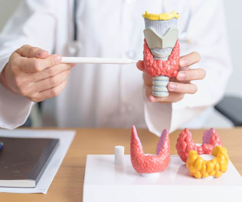 hypothyroidie découvrir les signes