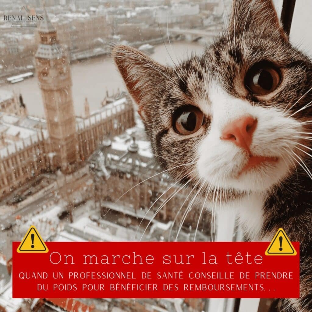 Injections, perte de poids rapide, pancréatite, effet rebond… Découvrez pourquoi ces solutions radicales posent problème et quelles alternatives existent.